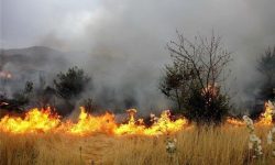 وقوع ۳ فقره آتش‌سوزی در جنگل‌ها و مراتع لرستان
