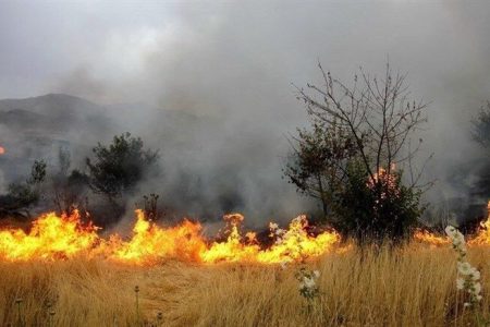 وقوع ۳ فقره آتش‌سوزی در جنگل‌ها و مراتع لرستان