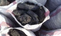 جریمه ۷ میلیارد ریالی قاچاقچی زغال بلوط در لرستان