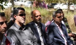 افزایش چهار برابری تولید گندم در لرستان