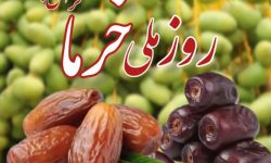 تولید ۲۳ تن محصول خرما در لرستان