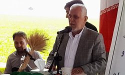 کشاورزان پایه استقلال اقتصادی هستند
