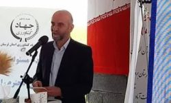 تولید گندم در لرستان بیش از چهار برابر شده است