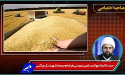 تأخیر در پرداخت مبلغ گندم باعث دلسردی کشاورزان می شود