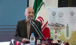 ثبت رکورد برداشت ۳۰ تن انجیر در هر هکتار از باغات لرستان