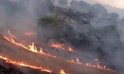 آتش‌سوزی مجدد در «شاداب کوه» پلدختر