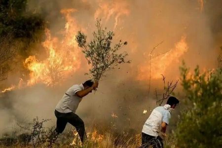 جان‌هایی که در راه طبیعت آب می‌روند