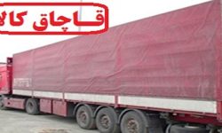 توقیف کامیون حامل احشام قاچاق در کوهدشت