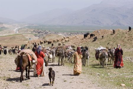 آغاز کوچ پاییزه عشایر لرستان به مناطق گرمسیری