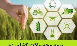 صدور ۵۵ هزار فقره بیمه محصولات کشاورزی در لرستان
