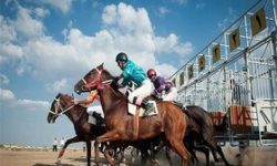 درخشش هیات سوارکاری لرستان در کشور