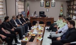 همکاری منابع طبیعی و‌ نیروی انتظامی لرستان در برخورد با متخلفان