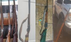 ضبط ۶ اسلحه از متخلفین زیست محیطی لرستان