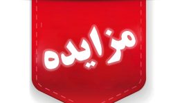 ۱۲۰ میلیارد ریال کالای تملیکی در لرستان به مزایده می رود