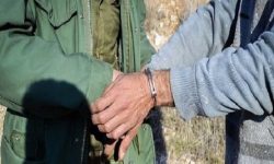 دستگیری ۱۰۰ متخلف زیست محیطی در لرستان