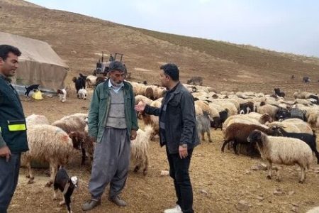 سرشماری ۷۰۰ خانوار عشایر بروجرد