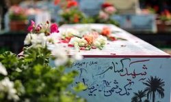 لرستان؛میزبان ۴ لاله فاطمی