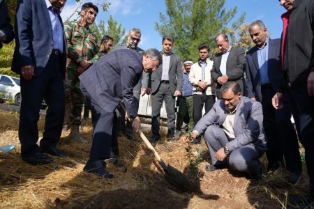 کاشت نهال در بام لرستان به یاد جوان حافظ طبیعت