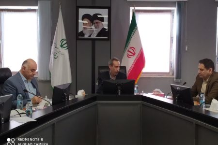 تمامی واحدهای صنعتی به برق جایگزین مجهز شوند