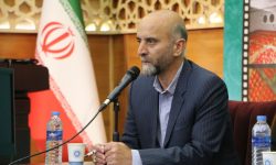 ۷۰ درصد انار لرستان قابلیت صادرات دارد