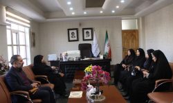 نقش اصلی جریانسازی فرهنگ عمومی با رسانههاست