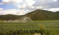 تجهیز ۷ هزار هکتار از اراضی لرستان به سیستم آبیاری نوین