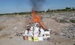 ۲.۵ تن داروی دامی غیر قابل مصرف در لرستان معدوم شد