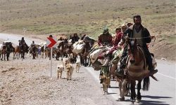 حضور۴۸۰ خانوار عشایری کوچ‌رو بروجرد در مناطق گرمسیری