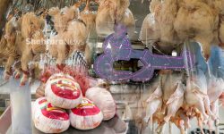 توزیع ۵۰۰ تن گوشت قرمز ویژه شب یلدا در لرستان