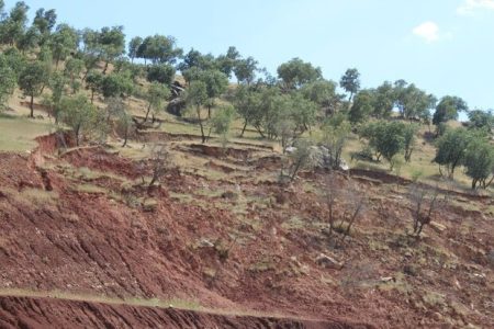 فرسایش خاک در لرستان به مرز هشدار رسید