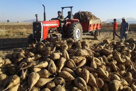 مطالبات چغندرکاران لرستانی پرداخت می‌شود