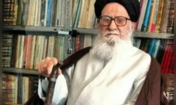 حجت الاسلام سیدمجید سیف‌السادات