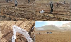 بازداشت سه نفر به دلیل آلودگی ۱۷۰ هکتار زمین کشاورزی در ازنا