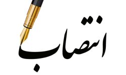 انتصاب ۵ زن در فرمانداری‌های لرستان