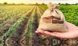 چتر حمایت بیمه کشاورزی بر سر ۱۲۷ هزار لرستانی