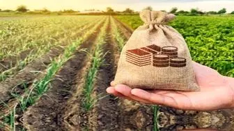 چتر حمایت بیمه کشاورزی بر سر ۱۲۷ هزار لرستانی