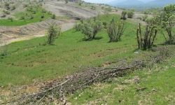 تشکیل پرونده برای متخلفان اراضی ملیِ لرستان