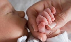 افزایش تولد فرزند دوم در لرستان