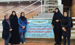 اجرای طرح ملی “پایش سلامت بانوان لرستان‌”