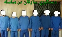 کشف ۱۴ فقره انواع سرقت در سلسله