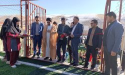 زمین چمن مصنوعی در روستای هزارخانی دلفان افتتاح شد