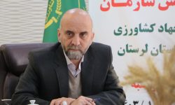 ایجاد مجتمع تولید و زراعت چوب اقتصادی در پلدختر