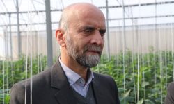 بهره برداری از ۸ هکتار گلخانه دهه فجر در لرستان