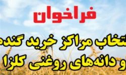 فراخوان انتخاب مراکز خرید گندم و دانه‌های روغنی سال ۱۴۰۴