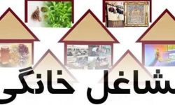 صدور ۴۷۰۰ مجوز مشاغل خانگی در لرستان