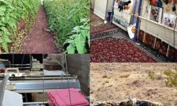 پرداخت ۲ هزار و ۵۰۰ فقره تسهیلات اشتغال در لرستان