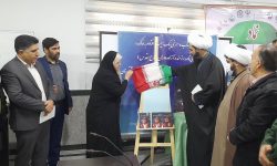 بیان معنای حقیقی عشق و ایثار در کتاب «سرخی یک سیب افتاده به خاک»