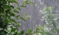 پایان هفته بارشی در انتظار لرستانی‌ها