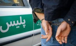 دستگیری ۲ سارق و کشف ۱۳۰ فقره سرقت در لرستان