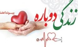 اهدای عضو بانوی بروجردی به چند بیمار زندگی دوباره بخشید